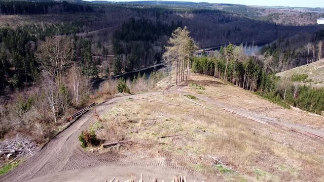 Kahlschalg oberhalb der Talsperre Burgkhammer im Th&uuml;ringer Schiefergebirge
