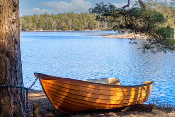 a yellow boat on the shore of a blue lake is parked in the shade of a pine tree