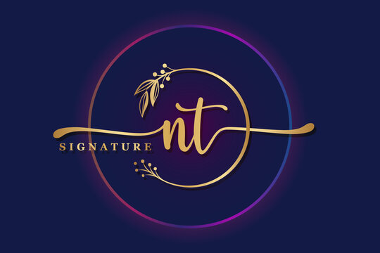 Initial tn elegant luxury monogram logo or badge Vector Image