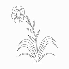 elegant, decoration, botanical, icon, symbol, drawn, beauty, print, elegance, vintage, simple, element, continuous, coloring, white, colorless, book, art, summer, plant, sketch, outline, flora, line, 