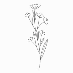 elegant, decoration, botanical, icon, symbol, drawn, beauty, print, elegance, vintage, simple, element, continuous, coloring, white, colorless, book, art, summer, plant, sketch, outline, flora, line, 