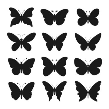 Butterfly silhouettes set. Various butterflies shapes collection. Vector illustration isolated on white.