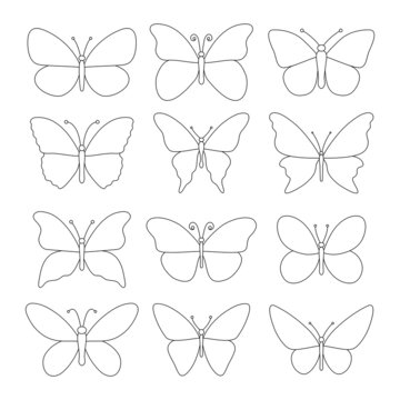 Butterfly Line Drawing Images – Browse 114,145 Stock Photos, Vectors ...
