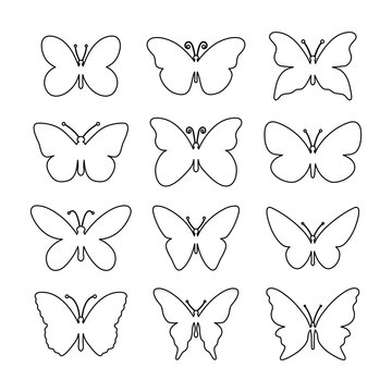 Fototapeta Butterfly line set. Various butterflies linear shapes collection. Vector illustration isolated on white.
