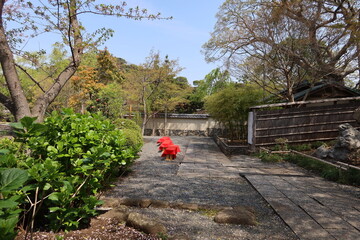 The way out of Shinen-botan-teien Japanese Garden in the precincts of Tsuruoka-hachimangu Shrine in...