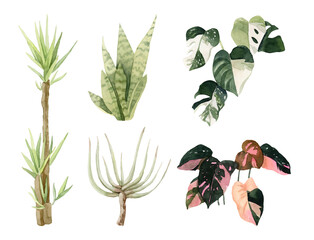 Different indoor and outdoor plants - hand painted watercolor illustration - urban jungle. Perfect for invitations, cards, prints, posters.