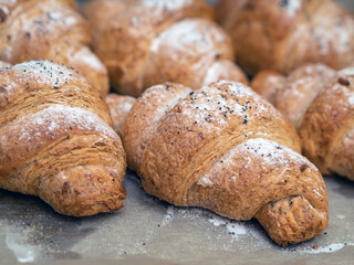 Homemade croissants made by whole-wheat flour with poppy seeds on the parchment paper. Healthy food concept. Close-up