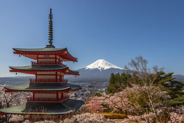 春の富士山　Mt. Fuji in spring