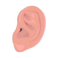 Ear vector Human organs digital design graphic 2d hd illustration