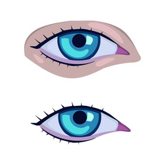 Eye vector Human organs digital design graphic 2d hd illustration