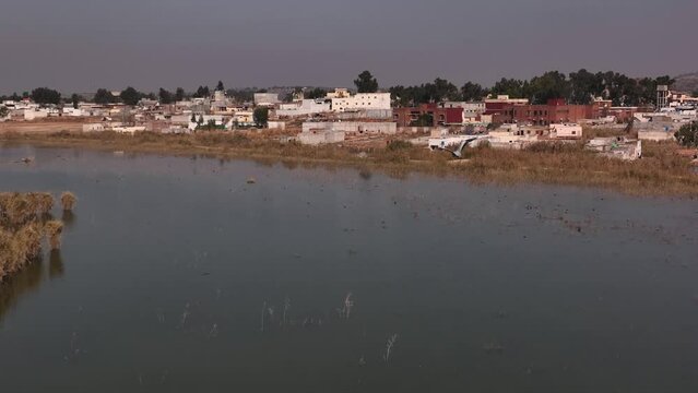 Aerial View Above Flying White Pelican Bird Over Wetlands At Kallar Kahar Lake. Slow Motion Tracking Shot
