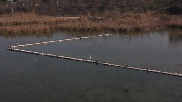 Aerial Flying Towards Break Wall In Kallar Kahar Lake With Birds Perched On It