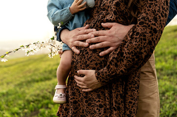 close-up of the belly of a pregnant woman who is hugged by her husband's arms. heart on the belly. future parents. pregnant couple walking in nature