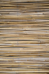 Background of dried bamboo stalks arranged horizontally. Copy space. Dry tropical bambusa.