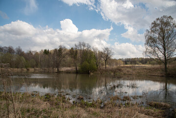 Spring landscape. Pond, trees without leaves, lake.