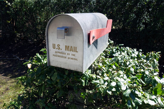 U.S. Mail Mailbox on a Post Surrounded by Greenery