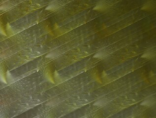 Imaginatory fractal abstract background Image