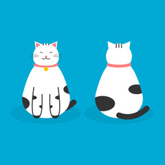 Cute fat white cat sitting front and back on blue background cartoon character flat vector design.