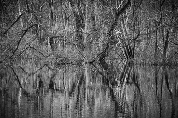 Reflections