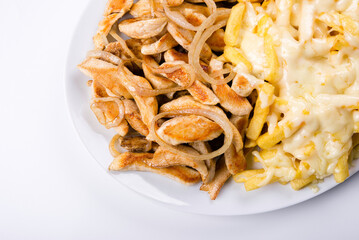 Fries with mozzarella on top and Chicken Breast with onion on top. Portion.