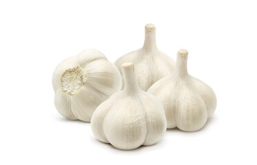 にんにく ニンニク イラスト リアル セット