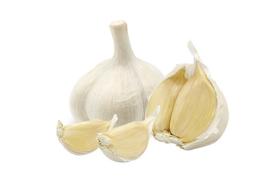 大蒜 Images Browse 2 686 Stock Photos Vectors And Video Adobe Stock