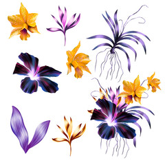 Purple Hibiscus, Yellow Orchids, Strelitzia, Tropical Flower Bouquet, Pink Flowers DIY Wedding Flowers