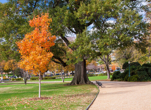 Lower senate park trees, benches and trails in beautiful sunny autumnal day. Washington, DC, USA