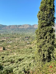 Landscape scenery in Meso Gerakari on Zakynthos, Greece.