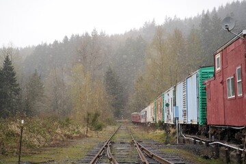 Obraz premium train on the railway