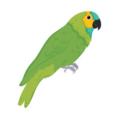 parrot bird icon