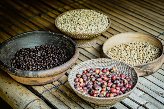 Close up of raw coffee beans, Bali, Indonesia © Natalia
