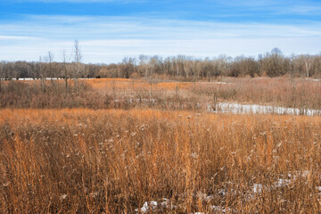 Forest Hill Nature Preserve