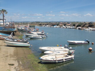 Fototapeta na wymiar Typical fishing boats on the Fuseta Ria, Algarve - Portugal 