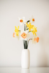 Mixed daffodils in a modern white bud vase