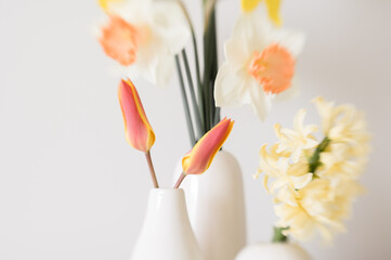 Spring close tulips in a modern bud vase with other spring flowers