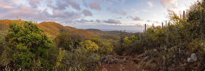 Sunrise over Christoffel National Park during the hike up to the top of Christoffel mountain on the Caribbean island Curacao - panorama