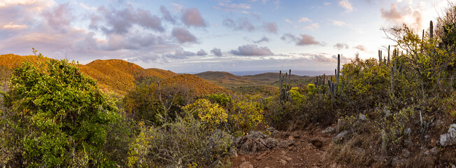 Sunrise over Christoffel National Park during the hike up to the top of Christoffel mountain on the Caribbean island Curacao - panorama - obrazy, fototapety, plakaty