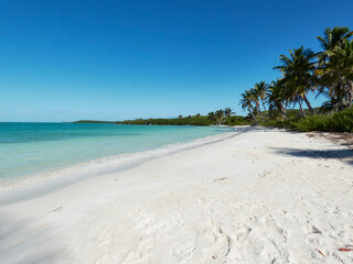 beach of turquoise waters and white sand very paradisiacal