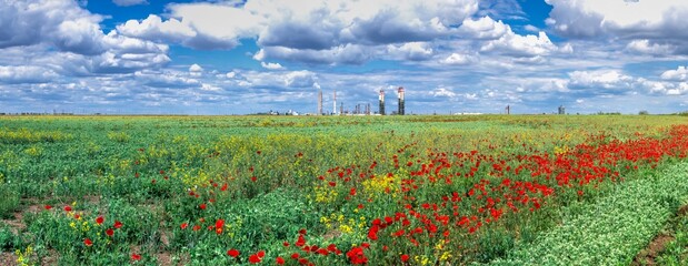 Clouds in the blue sky above the poppy field