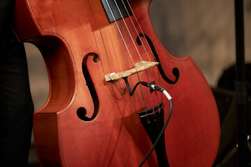 cello, double bass on stage. The magnificent double bass. Close up of contrabass on stage....