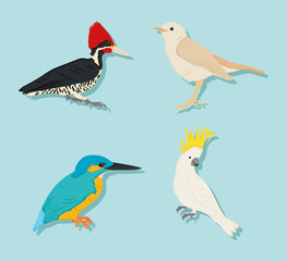cartoon birds icon set