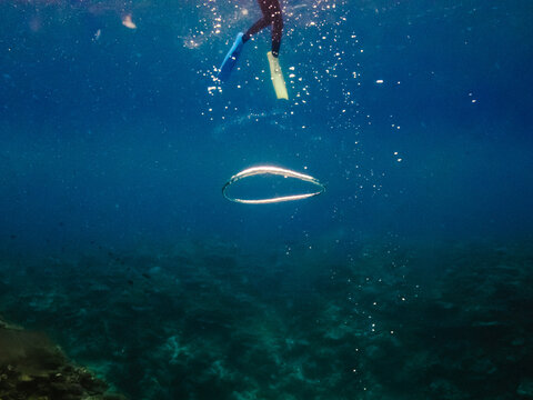 Mans flippers in ocean scuba diving adventure with deep blue water