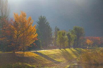 autumn on during mist and sunrise , Japan