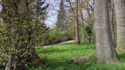 Karlsruhe Durlach Killisfeld