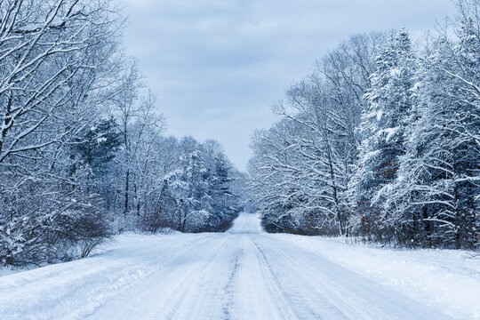 Driving in a Winter Wonderland
