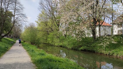 Karlsruhe Durlach Alb