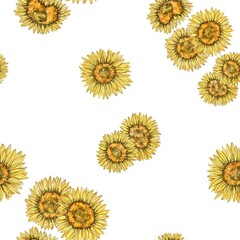 set of sunflowers. Seamless floral pattern with the image of sunflowers. Background with sunflowers. Print for textiles, wallpapers. Patter for wrapping paper, clothes, posters.
