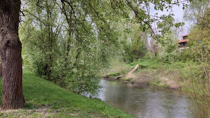 Fototapeta premium Karlsruhe Durlach Alb
