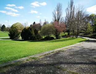 path in the park with trees